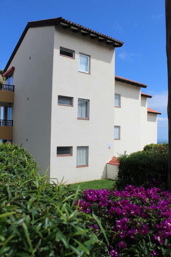 Holidaynorthtenerife Exotic Apartament Los Realejos Bagian luar foto