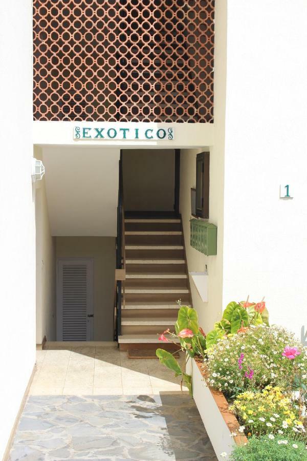 Holidaynorthtenerife Exotic Apartament Los Realejos Bagian luar foto