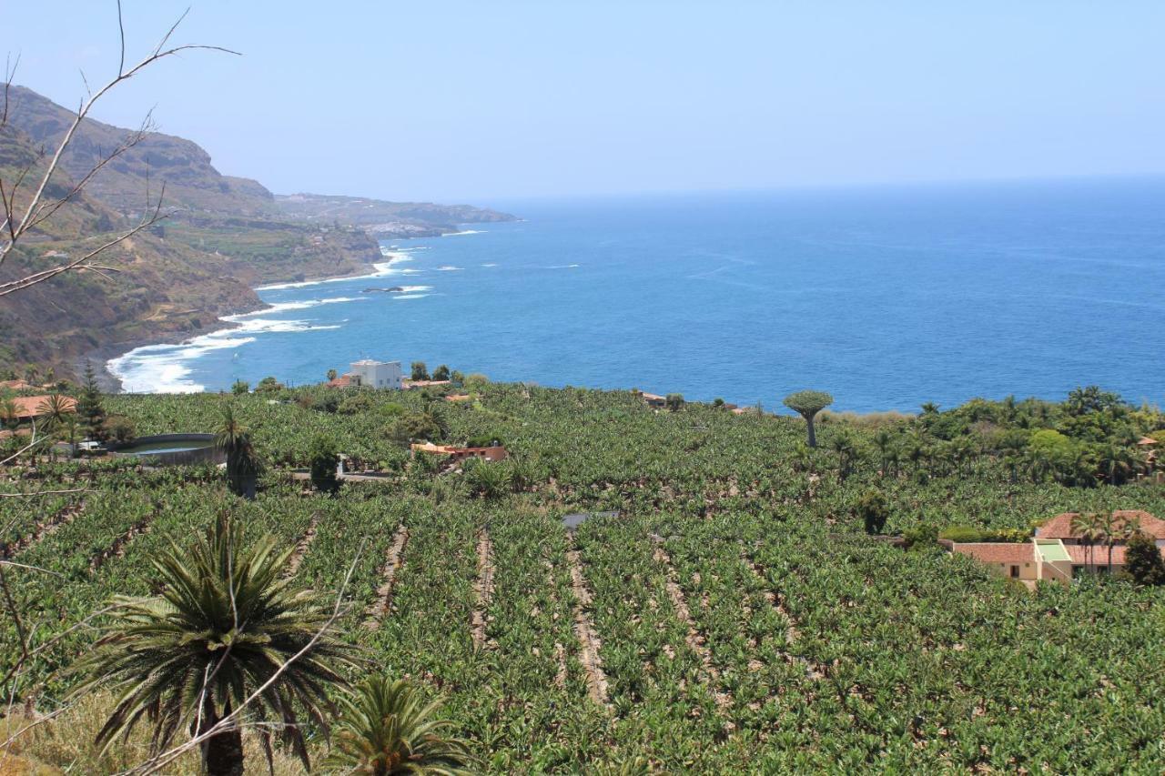 Holidaynorthtenerife Exotic Apartament Los Realejos Bagian luar foto