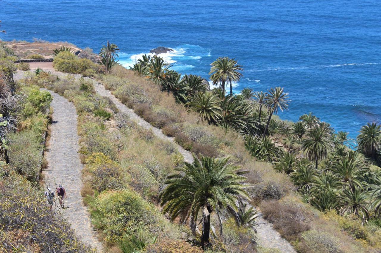 Holidaynorthtenerife Exotic Apartament Los Realejos Bagian luar foto